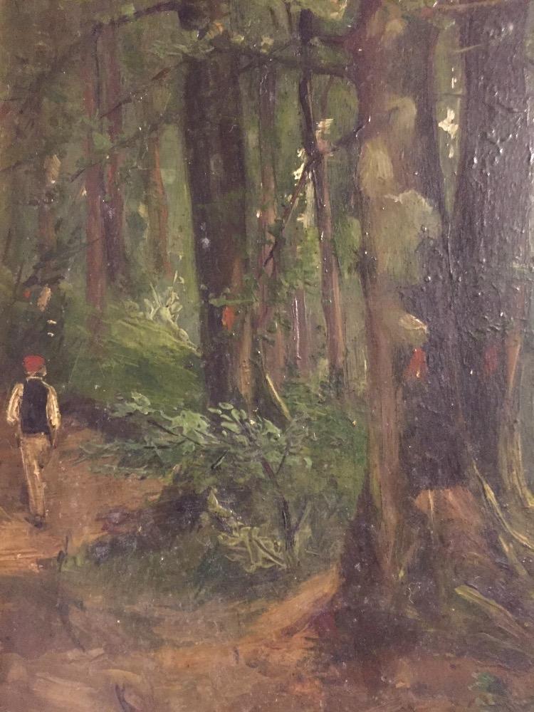 Man walking in the forest