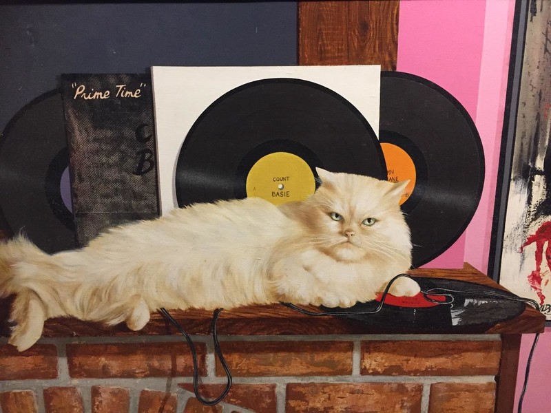 The musical cat