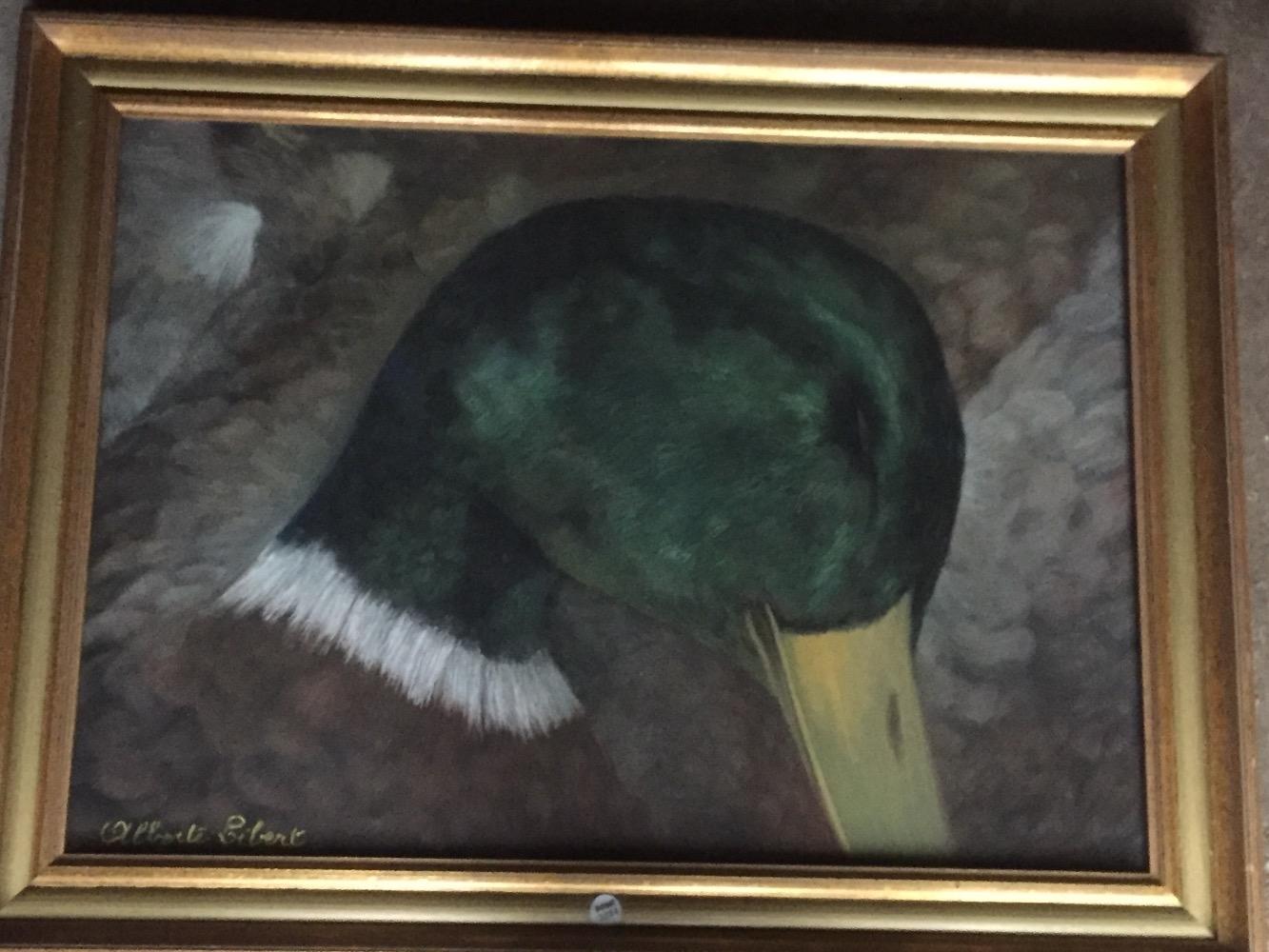 Duck