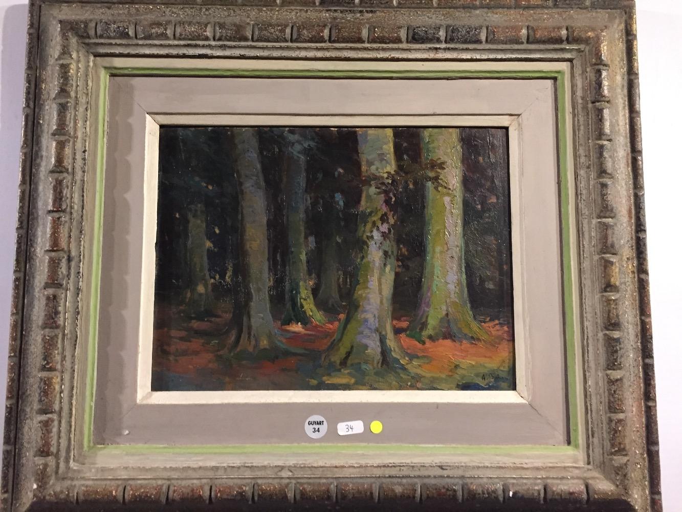 Forest in Brussels 