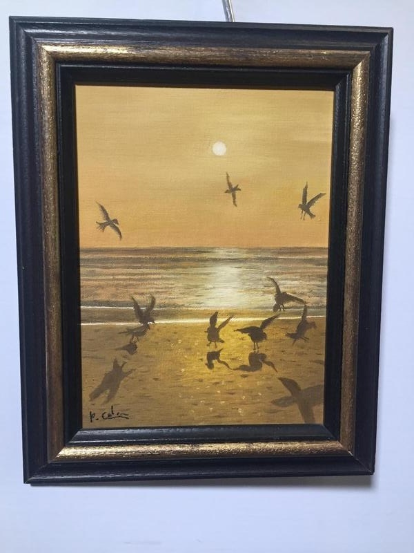 Seagulls at night 
