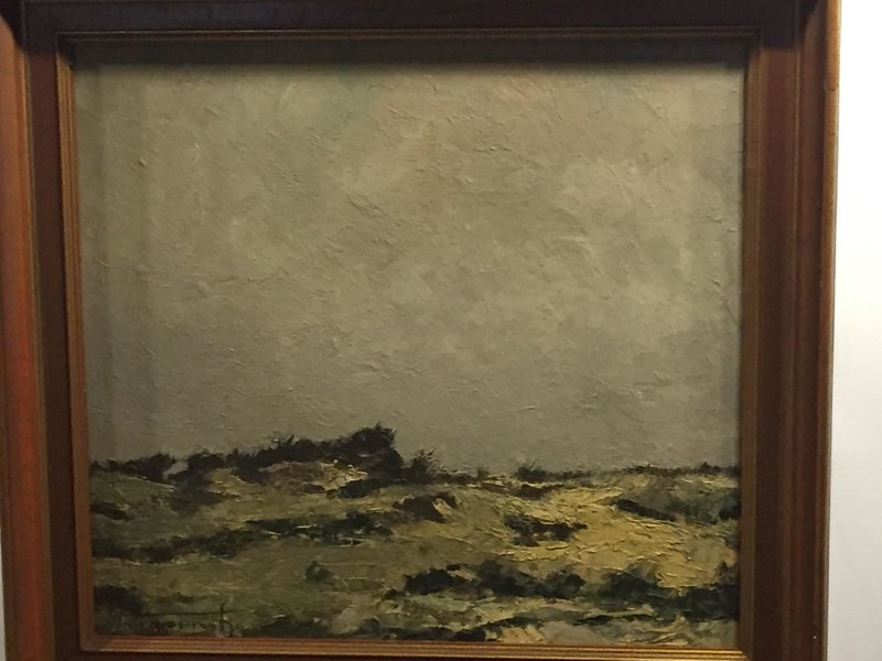 The dunes 