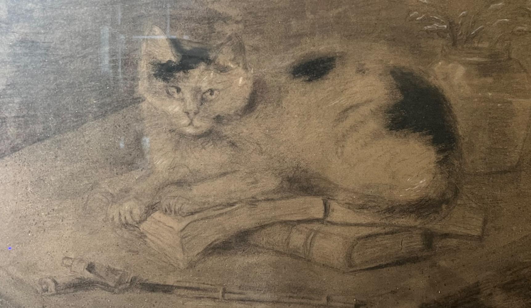 Cat with books ( charcoal on paper )