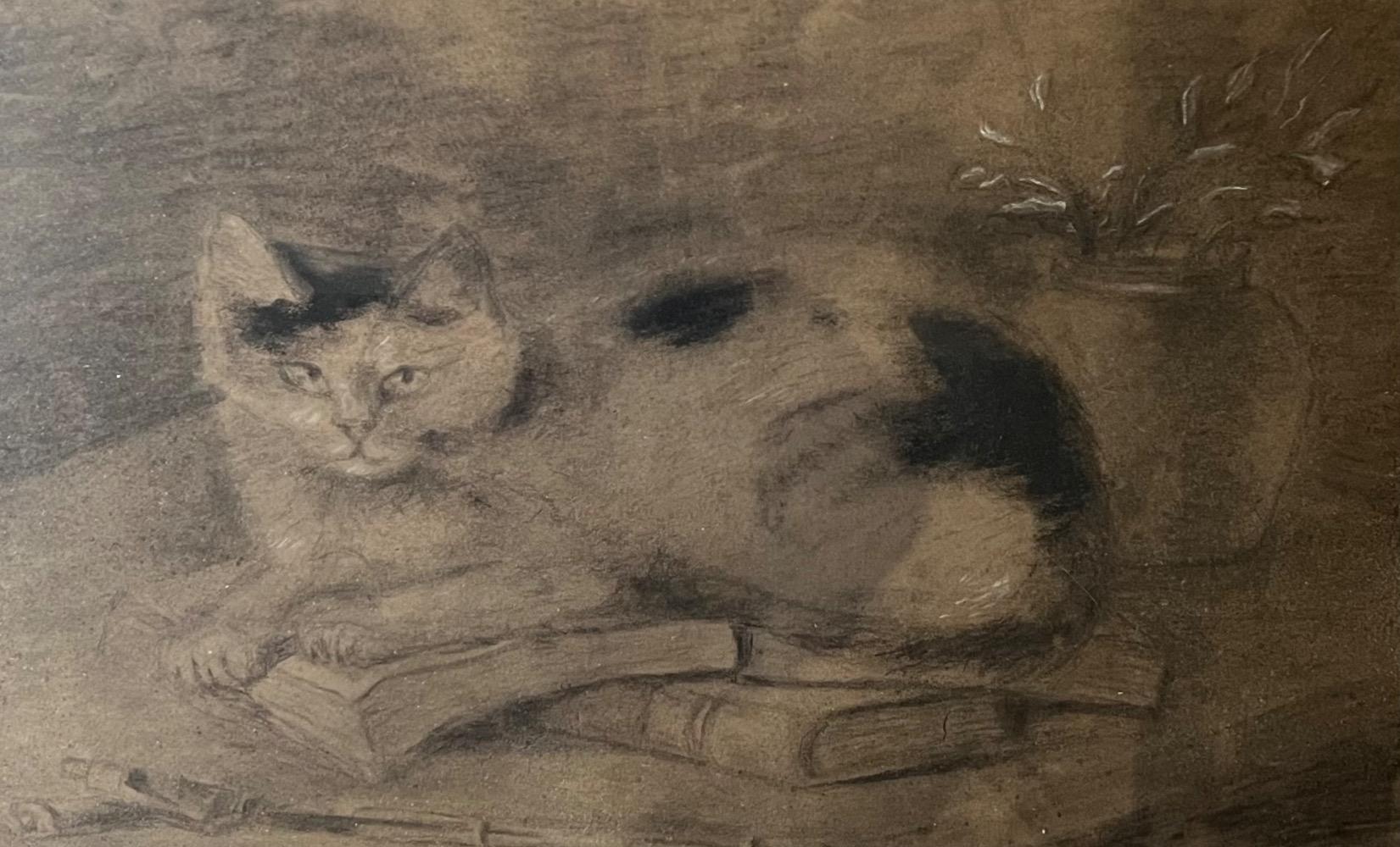 Cat with books ( charcoal on paper )