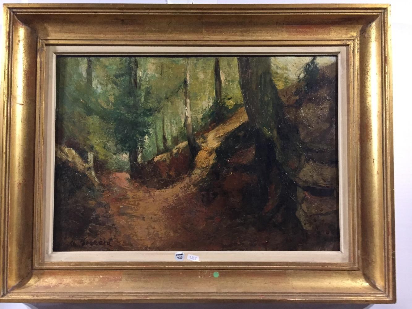 Forest in Brussels