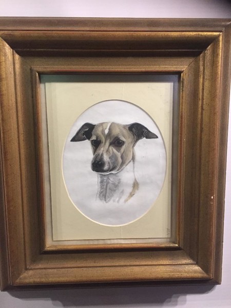 The proud dog