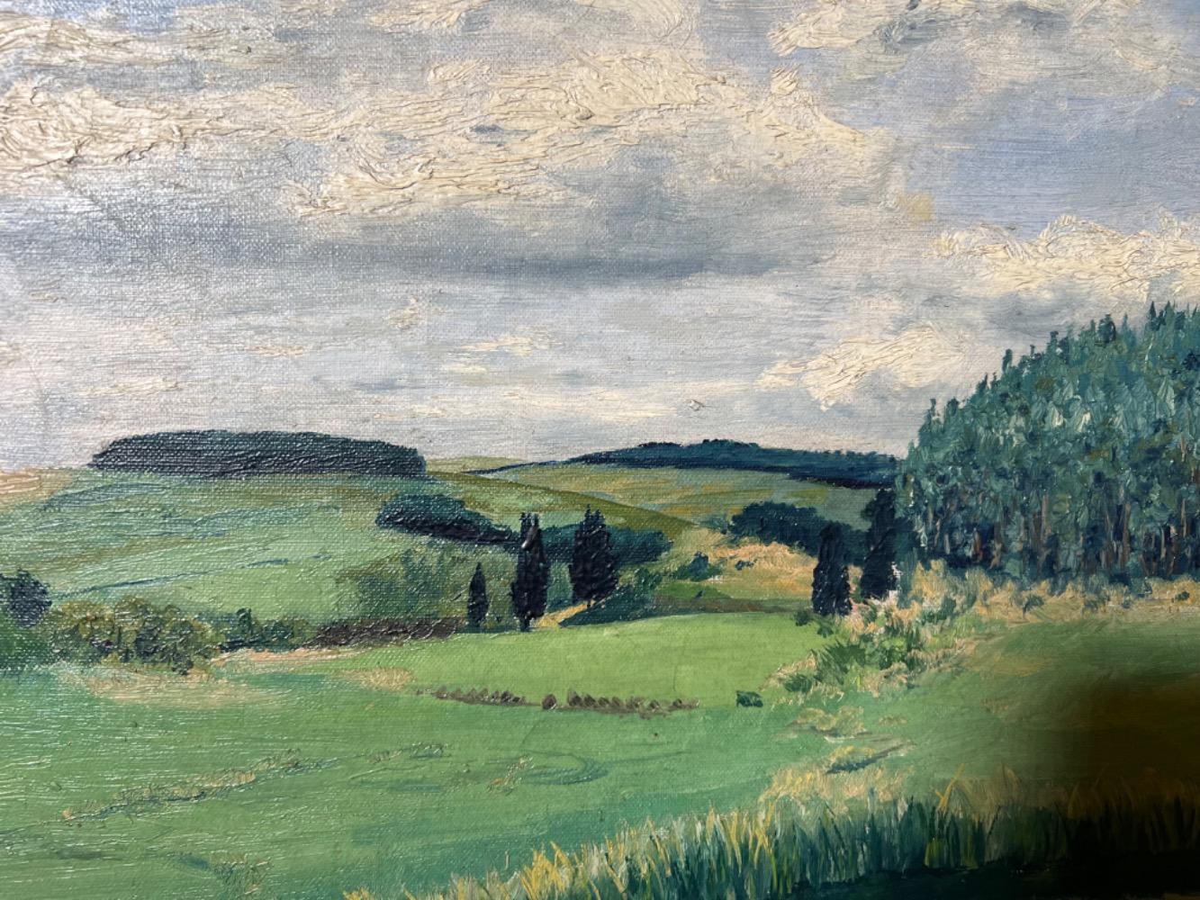 Landscape in the South of France ( oil on canvas)