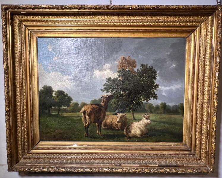 Goat and sheep in a landscape ( oil on canvas )