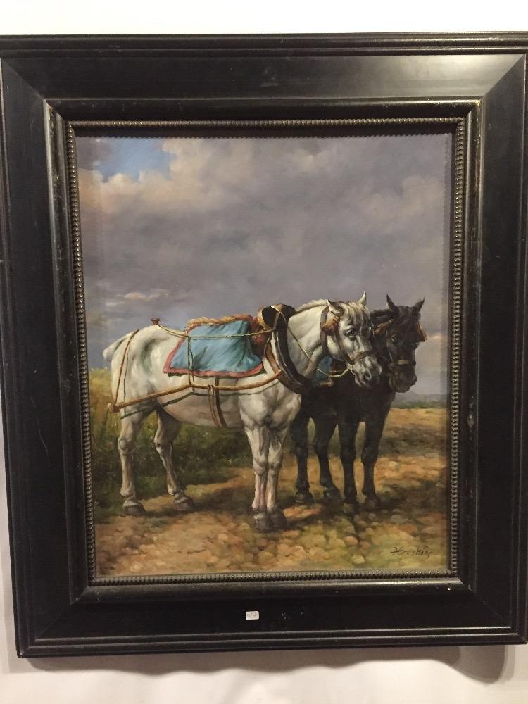 Resting horses