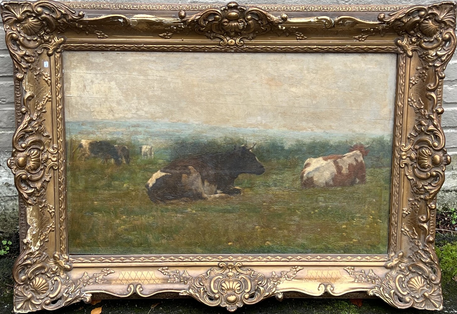 The happy cows ( oil on panel)