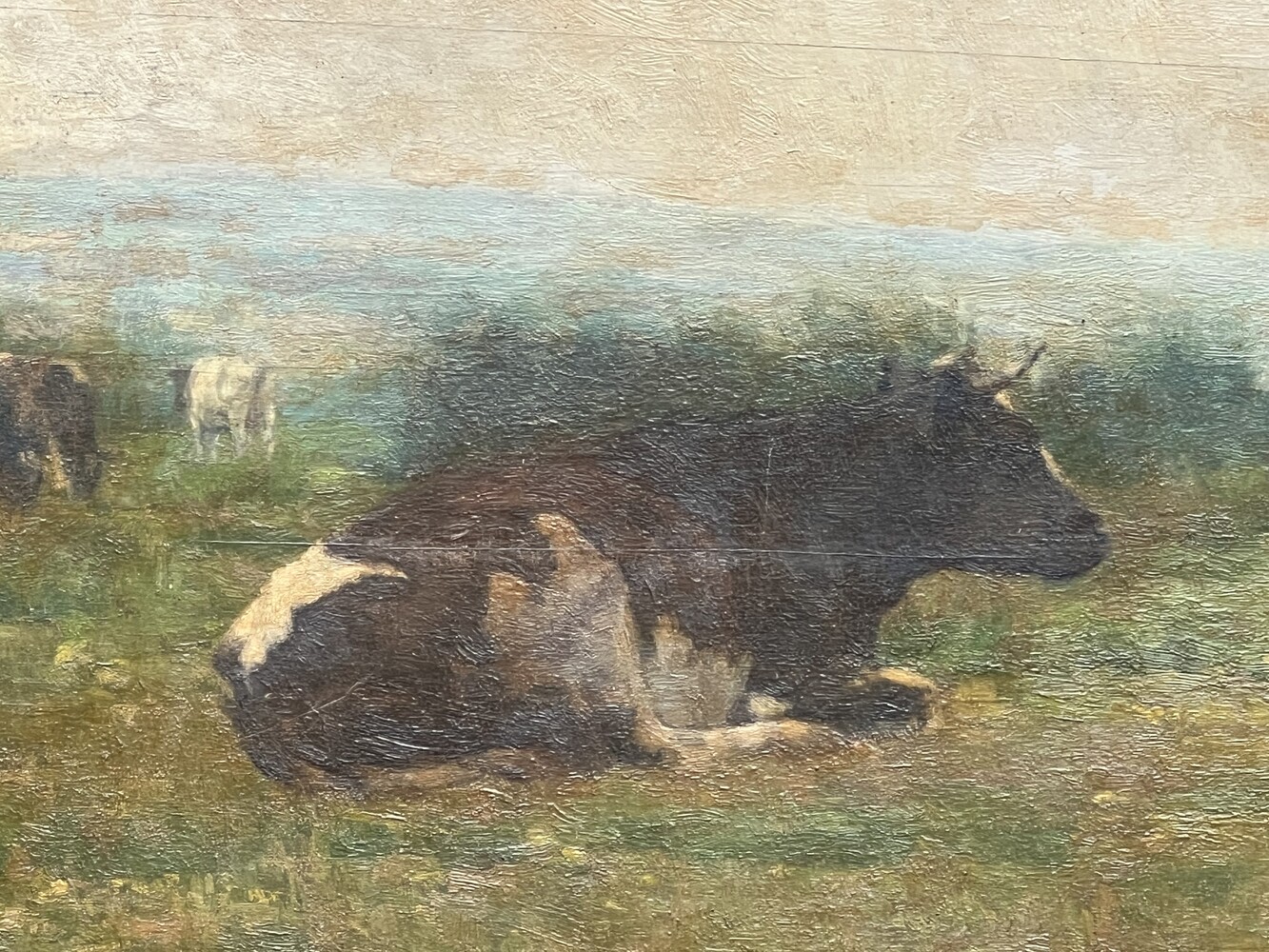 The happy cows ( oil on panel)